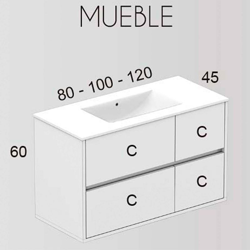 carlotta tecnico opt 2.jpg