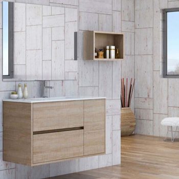 carola cambrian opt.jpg