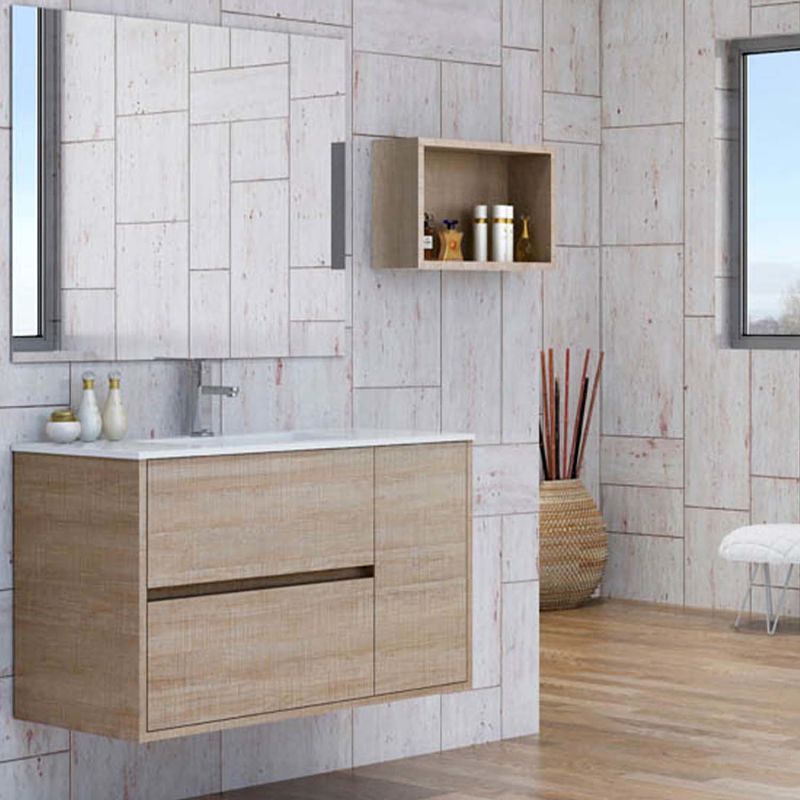 carola cambrian opt.jpg